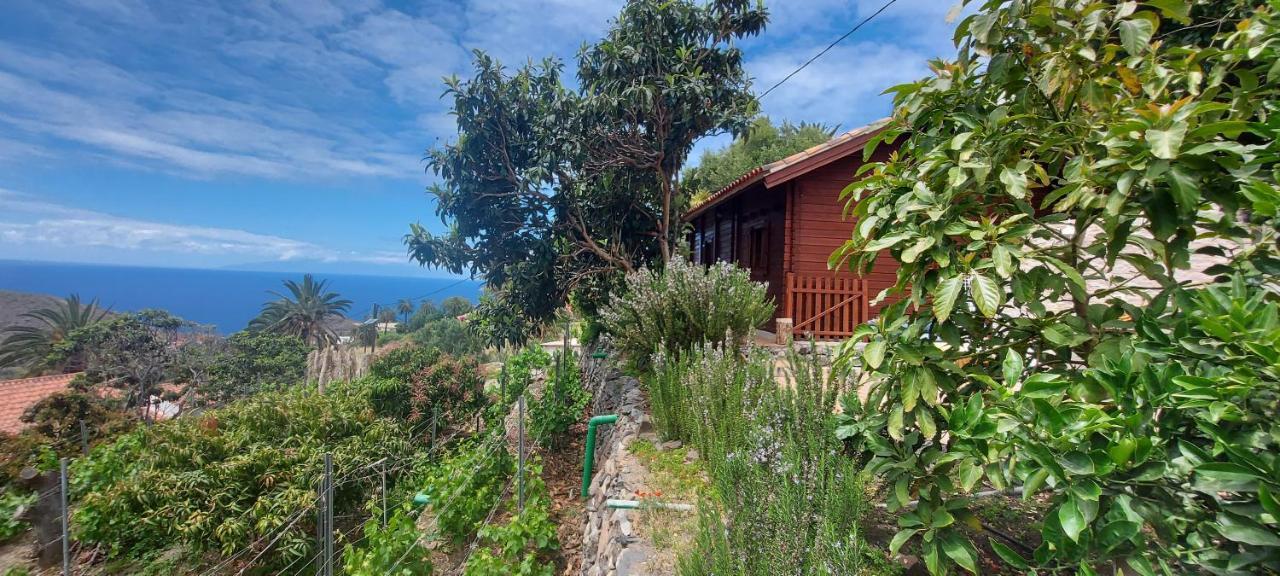 Cabana Los Palmeros, Vista Al Mar Y La Montana Alojera Exteriér fotografie