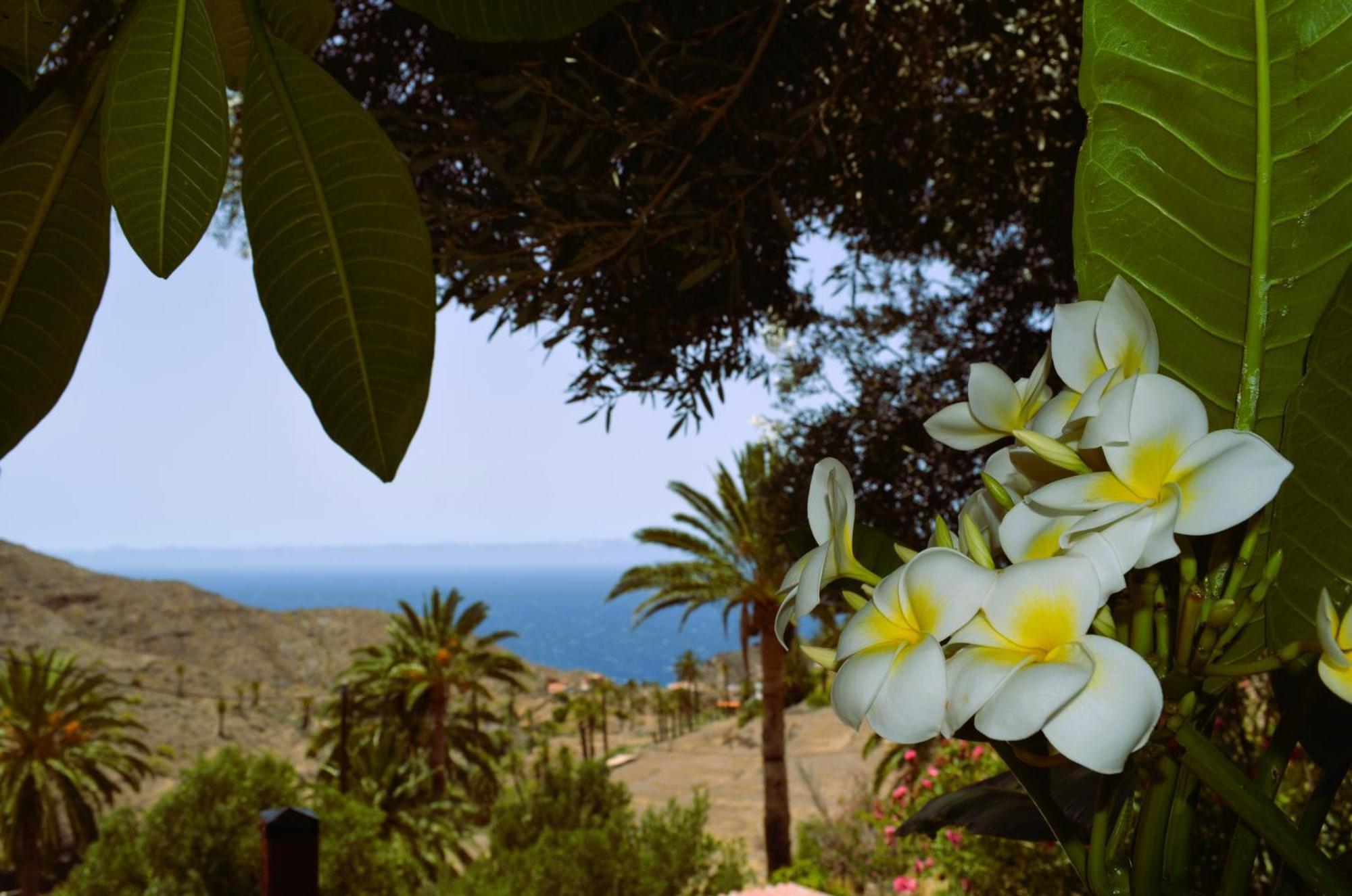 Cabana Los Palmeros, Vista Al Mar Y La Montana Alojera Exteriér fotografie